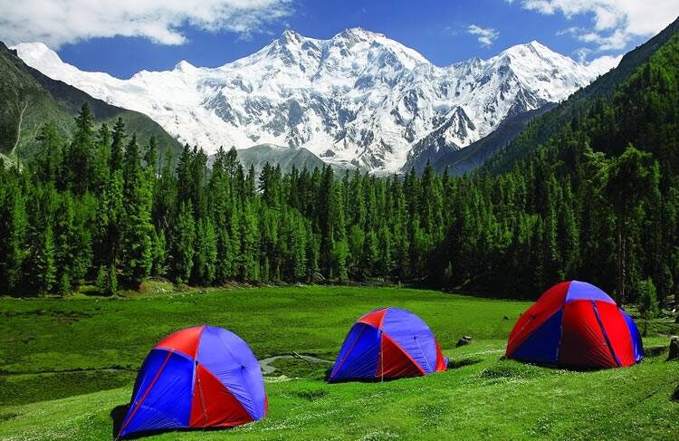 fairymeadowscottages-1